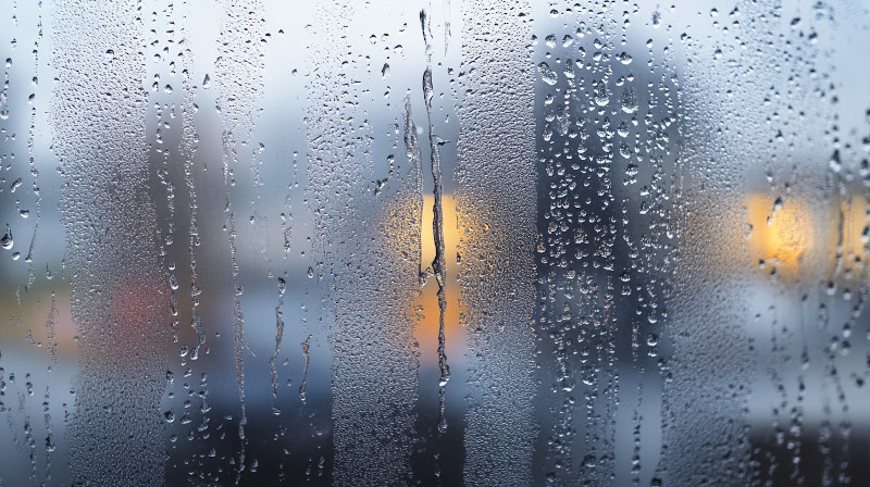 condensation on window